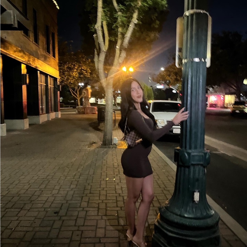 Aritzia Dark Brown Bodycon Dress